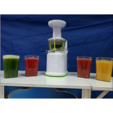 2013 Juicer jupe Jorge lente AJE318